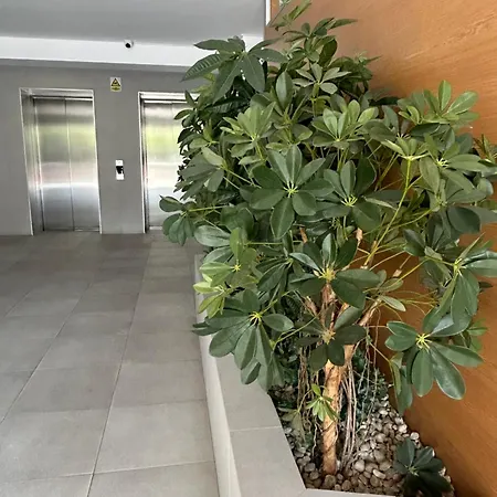 N & D Industrial Studio Bukarest