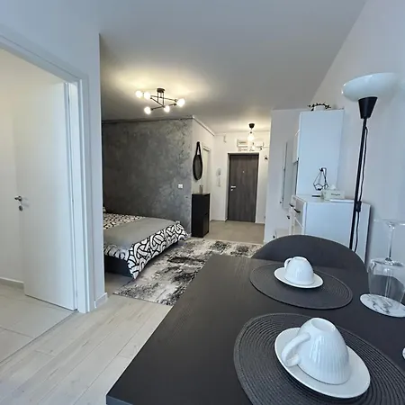 N & D Industrial Studio Lejlighed Bukarest